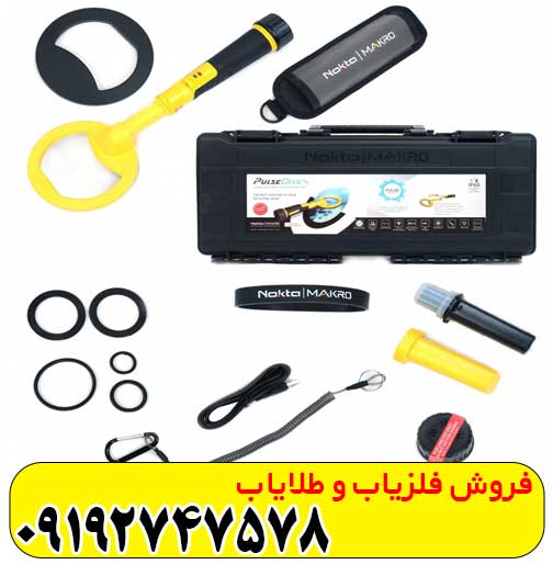 فلزیاب پالس دایو
