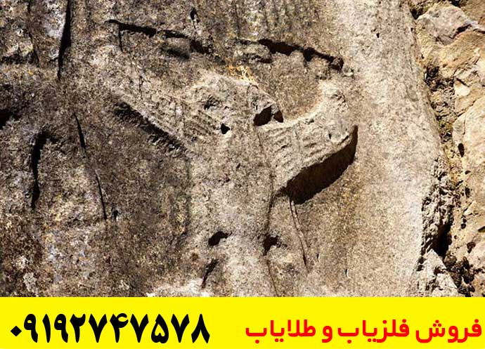 تفسیر نماد خروس در دفینه یابی