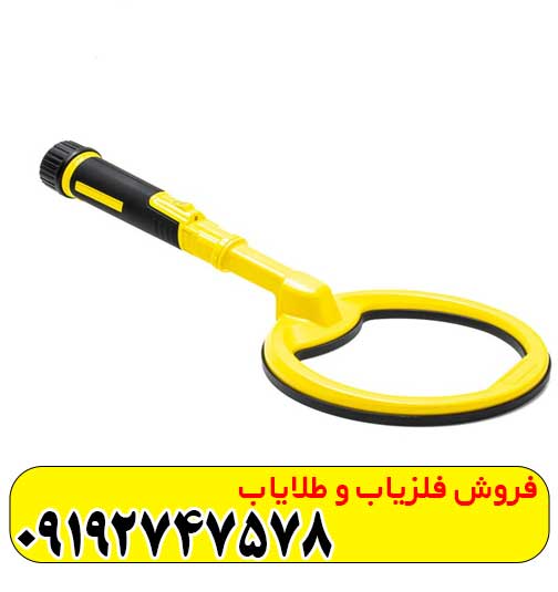 پین پوینتر پالس دایو
