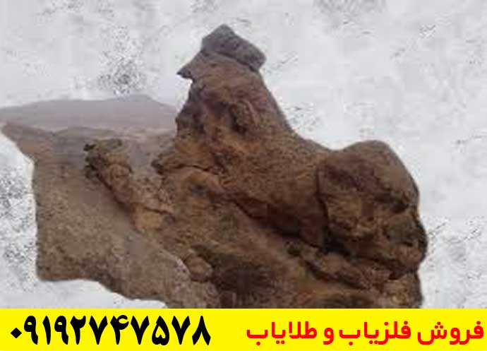 تفسیر نماد خروس در دفینه یابی