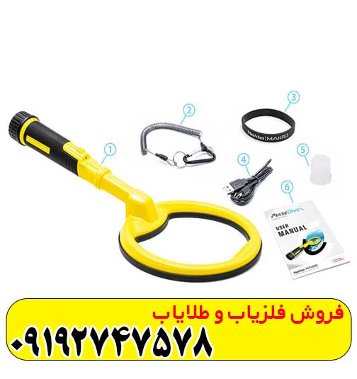 پین پوینتر پالس دایو