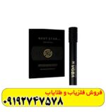 فلزیاب تصویری وگا SE
