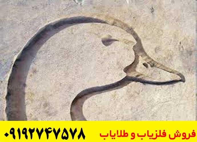 نماد اردک در دفینه یابی