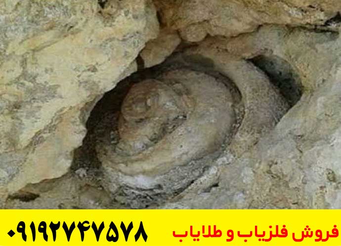  نماد حلزون در دفینه یابی