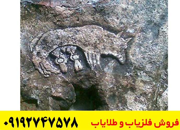 نماد گرگ در دفینه یابی