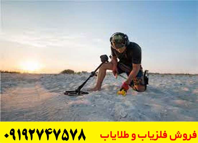 تصویری از فلزیاب