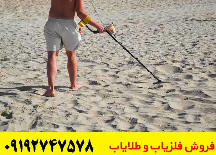 تصویری از فلزیاب