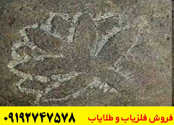 نماد گل در دفینه یابی