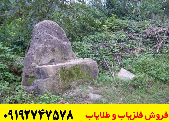گنج یابی در جنگل