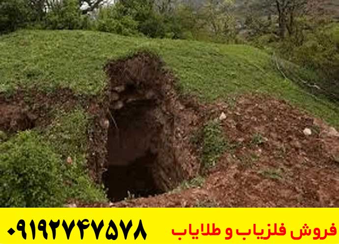 گنج یابی در جنگل