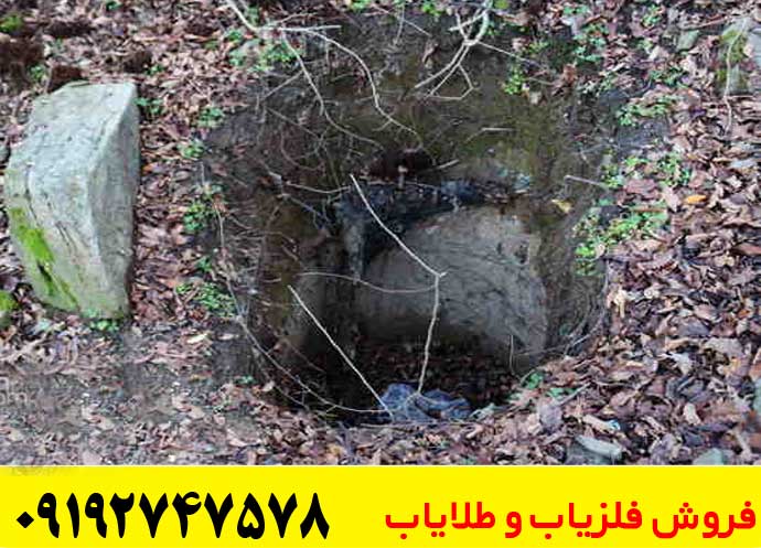 گنج یابی در جنگل