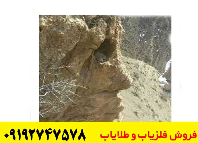 نماد نیم رخ انسان در دفینه یابی