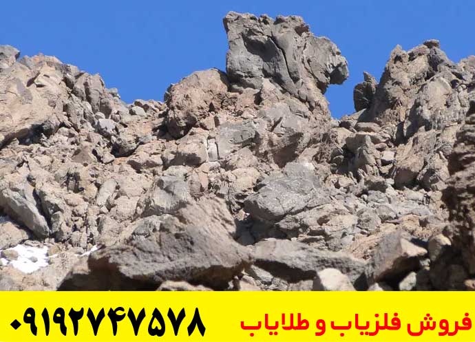 نماد شتر در دفینه یابی