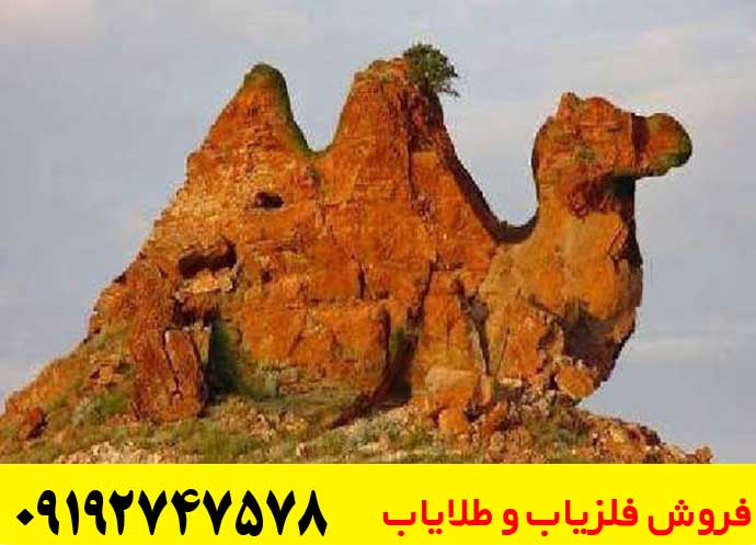 نماد شتر در دفینه یابی