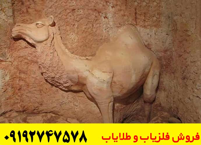 نماد شتر در دفینه یابی