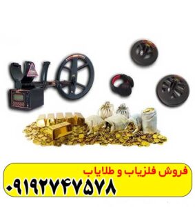 فلزیاب کوینیکس زد 6